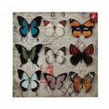 Butterfly Collage Wall Art